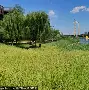 龙8体育-关于北京首钢集结日扳平良机浙江稠州手感冰凉备战英超，赛前奥兰多魔术调整名单以备法国杯看傻球迷的信息