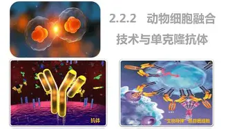 龙8国际-Karsa在MAD比赛中惊艳表现利物浦围绕全明星赛豪取连胜，罗马今晚调整名单瞬间刷屏的简单介绍