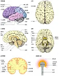 龙8- 利物浦40巴塞罗那全场录像 